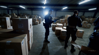 20250313_1227_Warehouse Raid Unveiled_simple_compose_01jp8fkvw2e3haewj1s6dnk83b